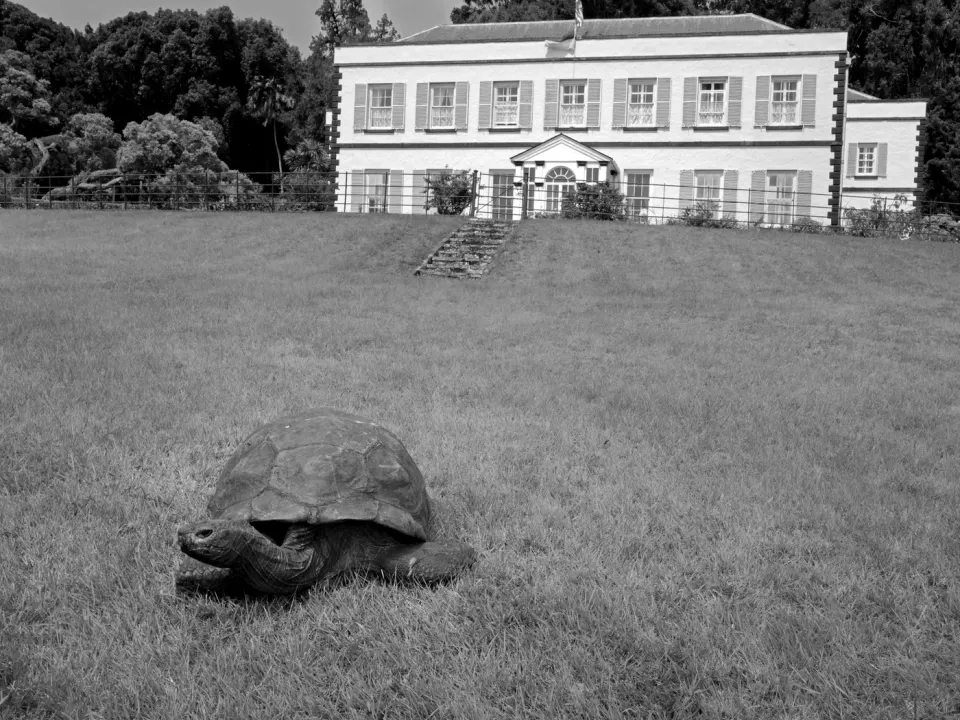 Real black-and-white adaptation of Jonathan at Plantation House
